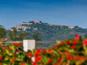 23950636-Ferienhaus-8-Motovun-300x225-3