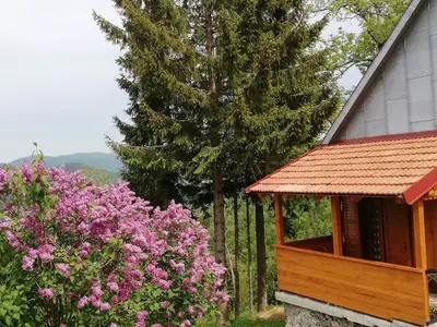 Ferienhaus für 5 Personen in Mrkopalj 2/10