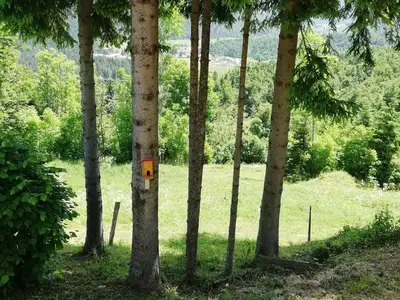 Ferienhaus für 5 Personen in Mrkopalj 4/10