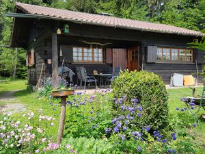 Ferienhaus für 2 Personen (63 m²) ab 67 € in Mühlenbach