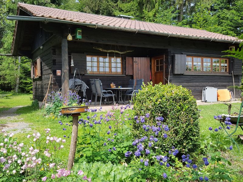 19361975-Ferienhaus-2-Mühlenbach-800x600-1