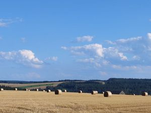 23898403-Ferienhaus-5-Mühlental-300x225-3