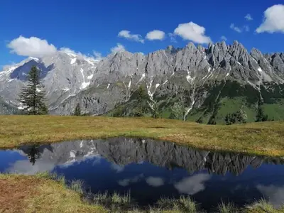 Umgebung Gut Stein