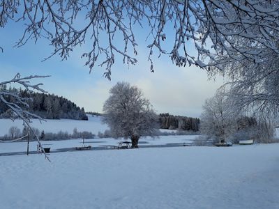 Romantischer Wintermorgen am See - Mühlen