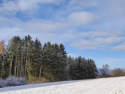 Ferienhaus für 5 Personen (103 m²) in Mühlental 9/10