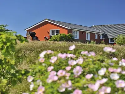 Ferienhaus für 4 Personen (82 m²) in Sylt-Ost 3/10