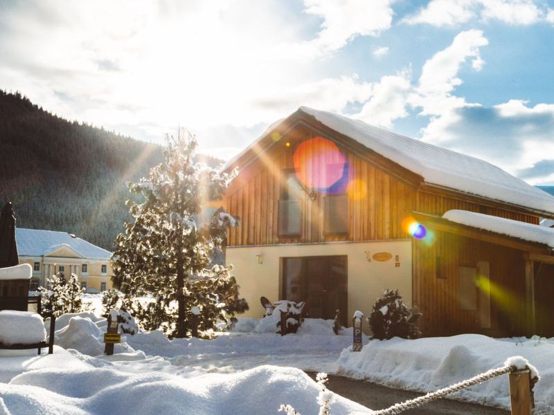 23858716-Ferienhaus-7-Murau (Steiermark)-800x600-0