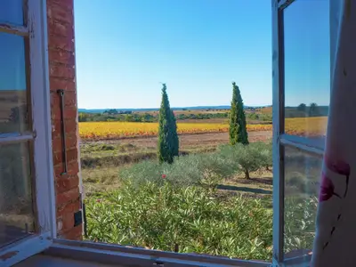 ViewSummer