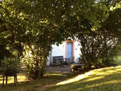 Weg zum BACKHAUS unter Haselnussbäumen