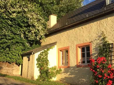 Alte Rosenarten an der Hauswand