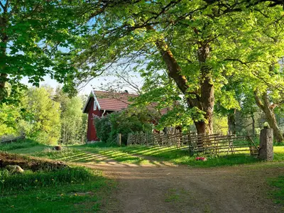 Outdoor