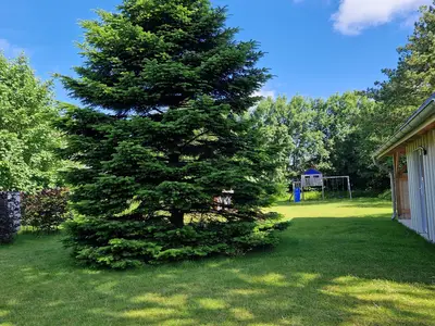 Ferienhaus für 6 Personen (120 m²) in Nebel 3/10