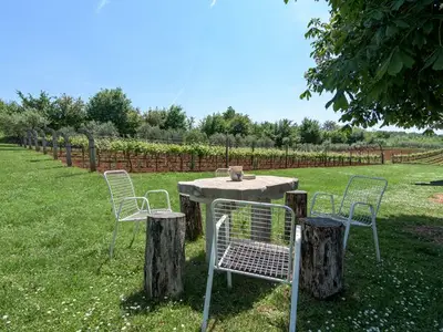 Ferienhaus für 6 Personen in Nedeščina 7/10