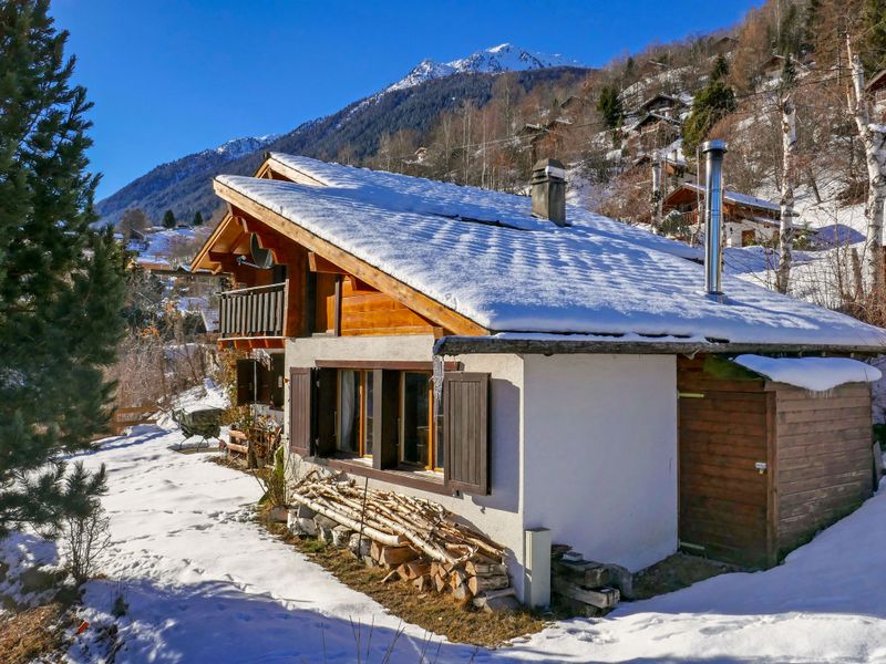 23845628-Ferienhaus-6-Nendaz-800x600-0