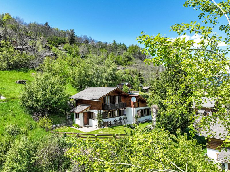 23845628-Ferienhaus-6-Nendaz-800x600-1