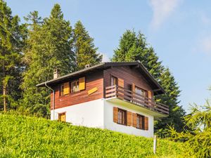 23838035-Ferienhaus-6-Nendaz-300x225-5