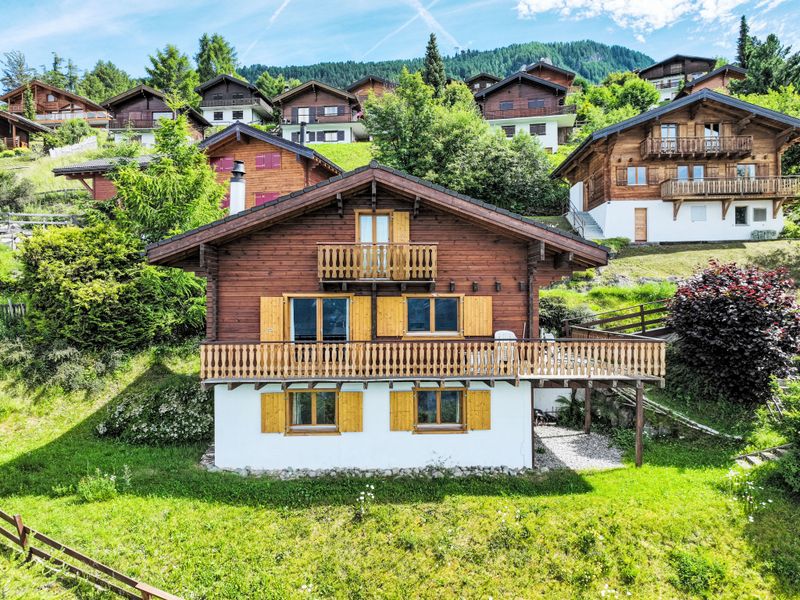 23838037-Ferienhaus-8-Nendaz-800x600-1