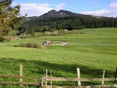 Ferienhaus für 6 Personen (95 m²) in Nesselwang 3/10