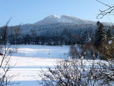 Ferienhaus für 5 Personen (65 m²) in Nesselwang 3/10