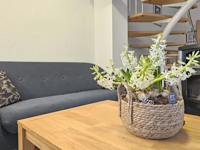 Ferienhaus für 6 Personen (100 m²) in Neßmersiel 8/10