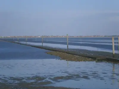 Ferienhaus für 5 Personen (72 m²) in Neßmersiel 8/10