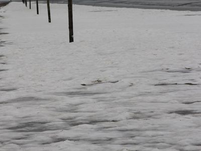 Hafenausfahrt mit Blick auf Baltrum im Winter