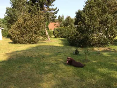 Ferienhaus für 4 Personen (55 m²) in Neu Poserin 10/10