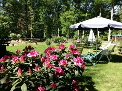 Ferienhaus für 4 Personen (32 m²) in Neu Zauche 10/10