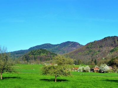 Blick auf Niederau im Frühling