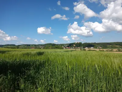 Blick nach Neuburg an der Kammel