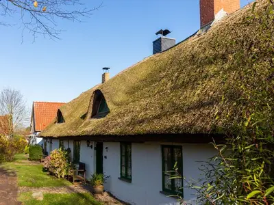 Ferienhaus für 6 Personen (120 m²) in Neuenkirchen (Rügen) 1/10