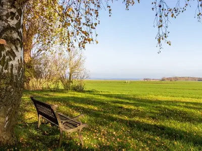 Ferienhaus für 6 Personen (120 m²) in Neuenkirchen (Rügen) 8/10