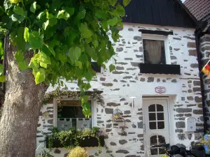 Ferienhaus für 7 Personen (85 m²) in Neuenrade