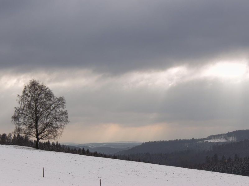 23686736-Ferienhaus-11-Neuerburg-800x600-1