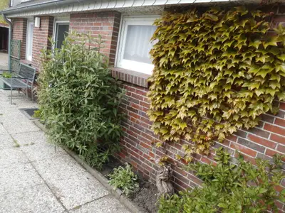 Ferienhaus für 3 Personen (71 m²) in Neuharlingersiel 7/10