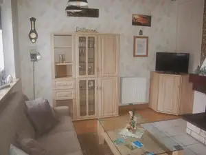 Ferienhaus für 3 Personen (50 m²) in Neuhaus am Rennweg