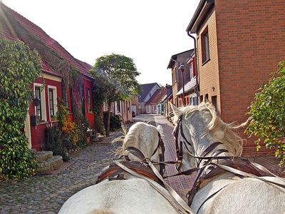 Ferienhaus für 4 Personen (38 m²) in Neukalen 6/10