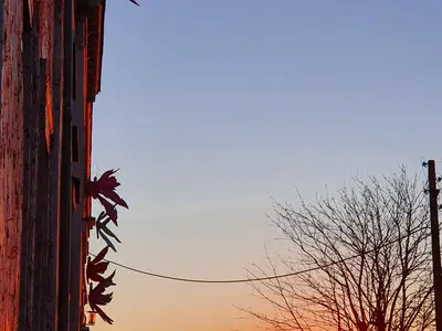 Ferienhaus für 25 Personen (450 m²) in Neukalen 2/10