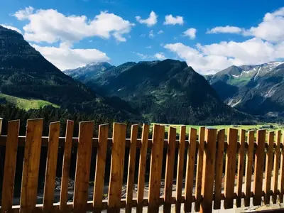 ViewSummer
