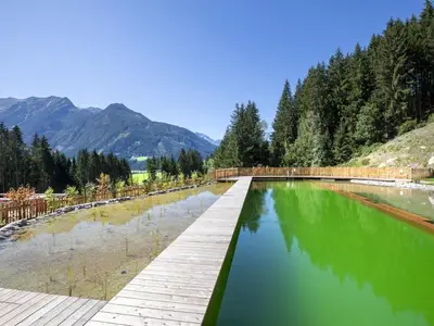 PoolOfHouse