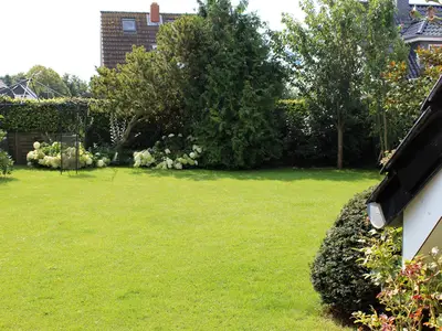 Garten. Blick in den Garten