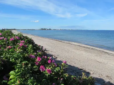 Ferienhaus für 4 Personen (56 m²) in Neukirchen 2/10