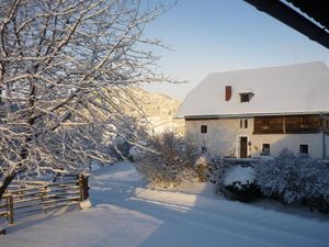 Ferienhaus für 15 Personen (220 m²) in Neumarkt in der Steiermark