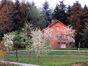 Ferienhaus für 6 Personen in Neunburg vorm Wald