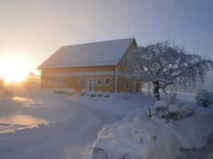 23678217-Ferienhaus-5-Neunburg vorm Wald-300x225-2