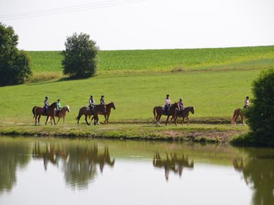 Ausritt und Reitunterricht möglich