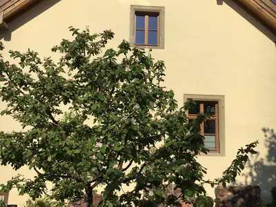 Kleiner Garten