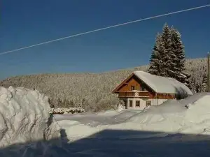 Ferienhaus für 12 Personen (130 m²) in Neureichenau