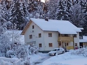 23680616-Ferienhaus-6-Neureichenau-300x225-2