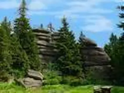 Dreisesselberg 1312 mtr.